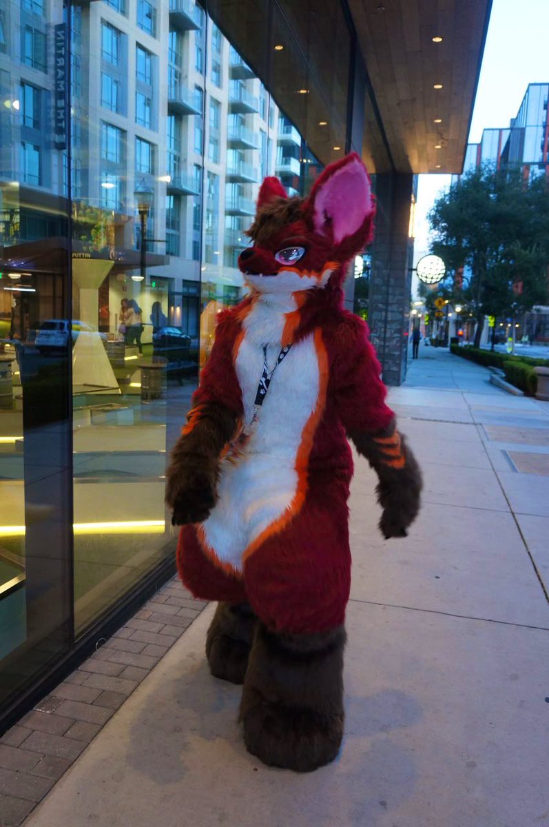 I hope these stores allow dogs... #FursuitFriday
📸 <a href="/FluffyArx/">🌟ARX🥭🐾</a> 
🧶 <a href="/GinwineGin/">Triple Gin</a>