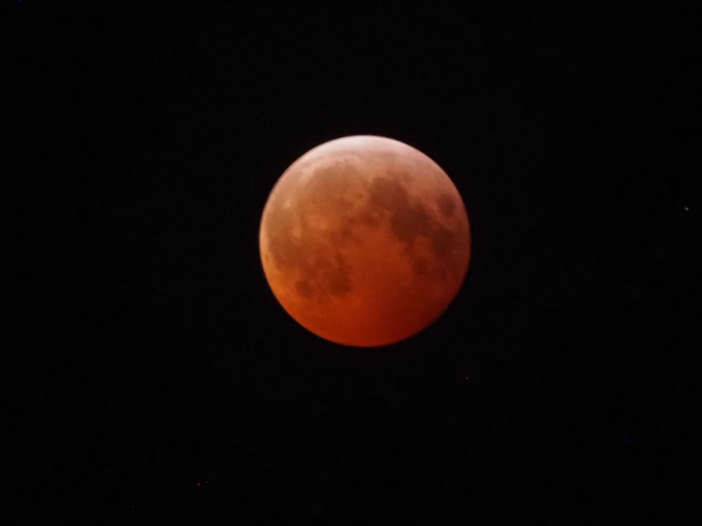 Well THAT was worth getting up at 3 am! It's hard to believe I could stand in my own backyard with a handheld camera and take a picture of an object a couple hundred thousand miles away!