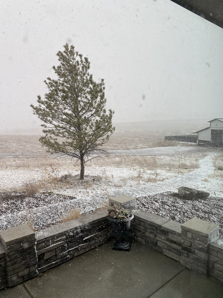 KathySabine9's tweet photo. Wowee!!! It’s coming down east of Parker! It is blowing and snowing! #MarchStorm #9News https://t.co/QePlqpBhRe