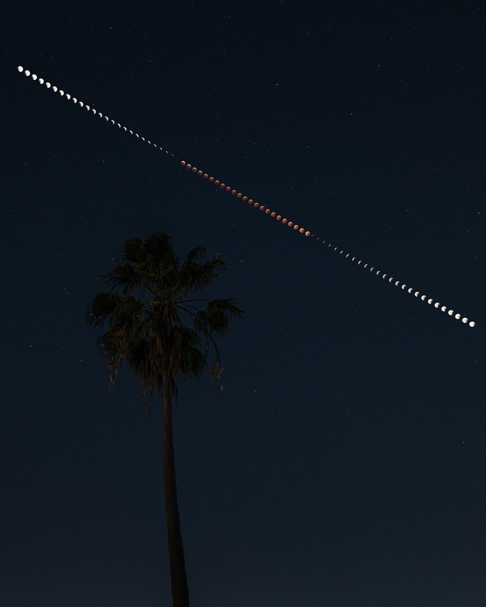 InformaCosmos's tweet photo. POSTAL DEL ECLIPSE DE ANOCHE 

Esta imagen fue capturada a intervalos de tres minutos con la misma cámara estacionaria, retratando con precisión el tamaño y el movimiento de la Luna en todo el cielo durante el eclipse lunar.

📸: John Kraus https://t.co/iK1kJdatY3
