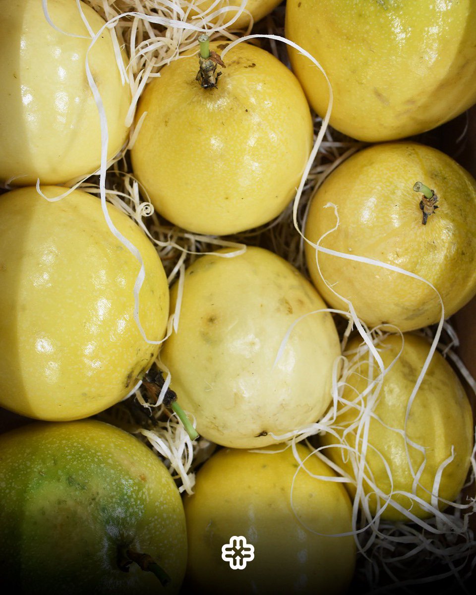 😍 MARACUYÁ

Una fruta tropical que durante el otoño podemos encontrar.

📍Una delicia, también conocida como “la fruta de la pasión”, proviene de Formosa, Corrientes, Salta, Jujuy y Brasil.

👉 Vení al Mercado Central y encontrá el más rico Maracuyá.