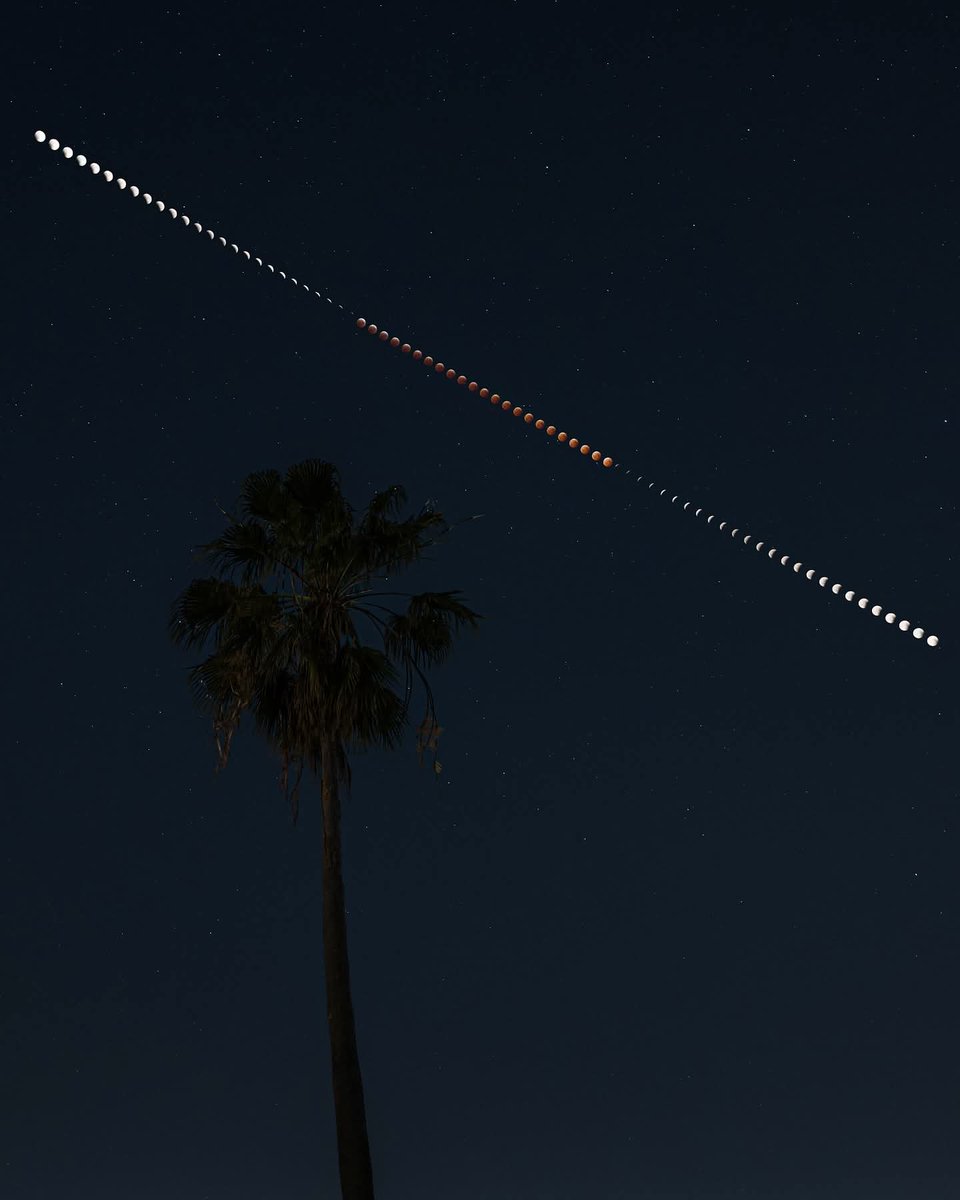 astronomerslk's tweet photo. Lunar eclipse over Florida

🌕🌖🌗🌘🌴🌒🌓🌓🌔

This image was captured at three-minute intervals with the same, stationary camera, accurately portraying the Moon’s size and motion throughout the sky during this morning’s eclipse https://t.co/B4usGTZUMP