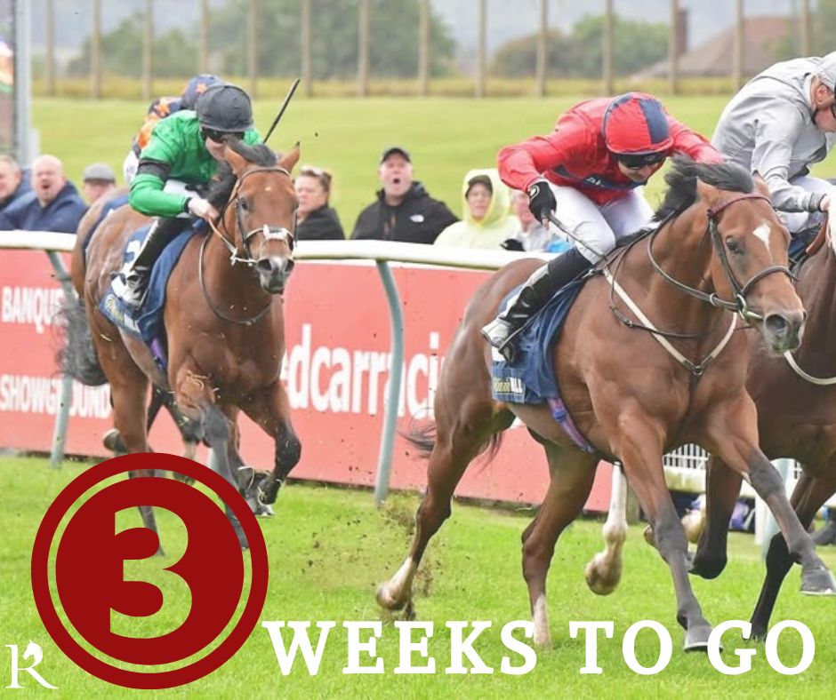 Redcarracing's tweet photo. 3 weeks today we will be hosting our first flat meeting of the 2025 season.
Save the date Monday 7th April and come and join us.
🎫 Tickets available for the Course Enclosure from £7 and the Grandstand Enclosure from £16 .
👉https://t.co/jNmFI1VsQZ
#Redcarracing #HorseRacing https://t.co/tJBo1bJ47O