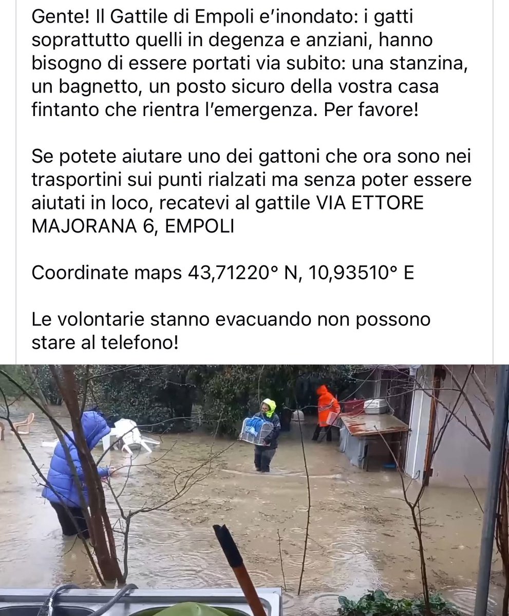 kcobainsvoice's tweet photo. ⚠️  ZONA EMPOLI (FI) #maltempo 

Il Gattile di Empoli è inondato: i gatti hanno bisogno di essere portati via subito: una stanzina, un bagno, un posto sicuro della vostra casa fintanto che rientra l’emergenza.
Se potete aiutare, recatevi al gattile VIA ETTORE MAJORANA 6, EMPOLI https://t.co/54p1KdsUBX