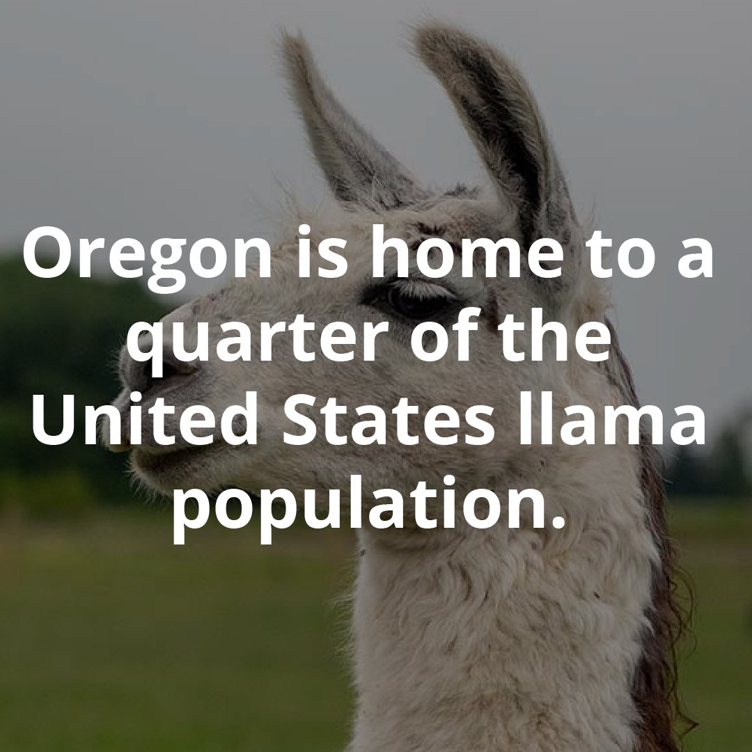 RMLSweb's tweet image. #FridayFunFact