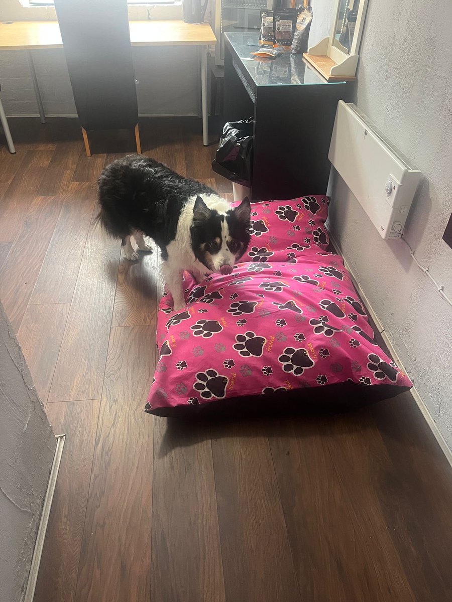 Ginger Wildheart tweet media