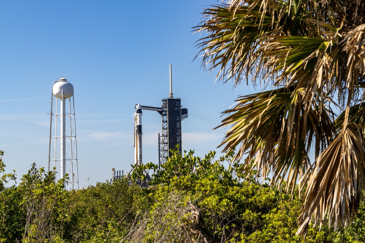 It is launch day once again!

Following Wednesday's scrub, Crew Dragon Endurance stands ready atop Falcon 9 B1090 this morning, ahead of this evening's launch of Crew-10 to the <a href="/Space_Station/">International Space Station</a>. Liftoff is targeted for 7:03 pm Eastern Time.