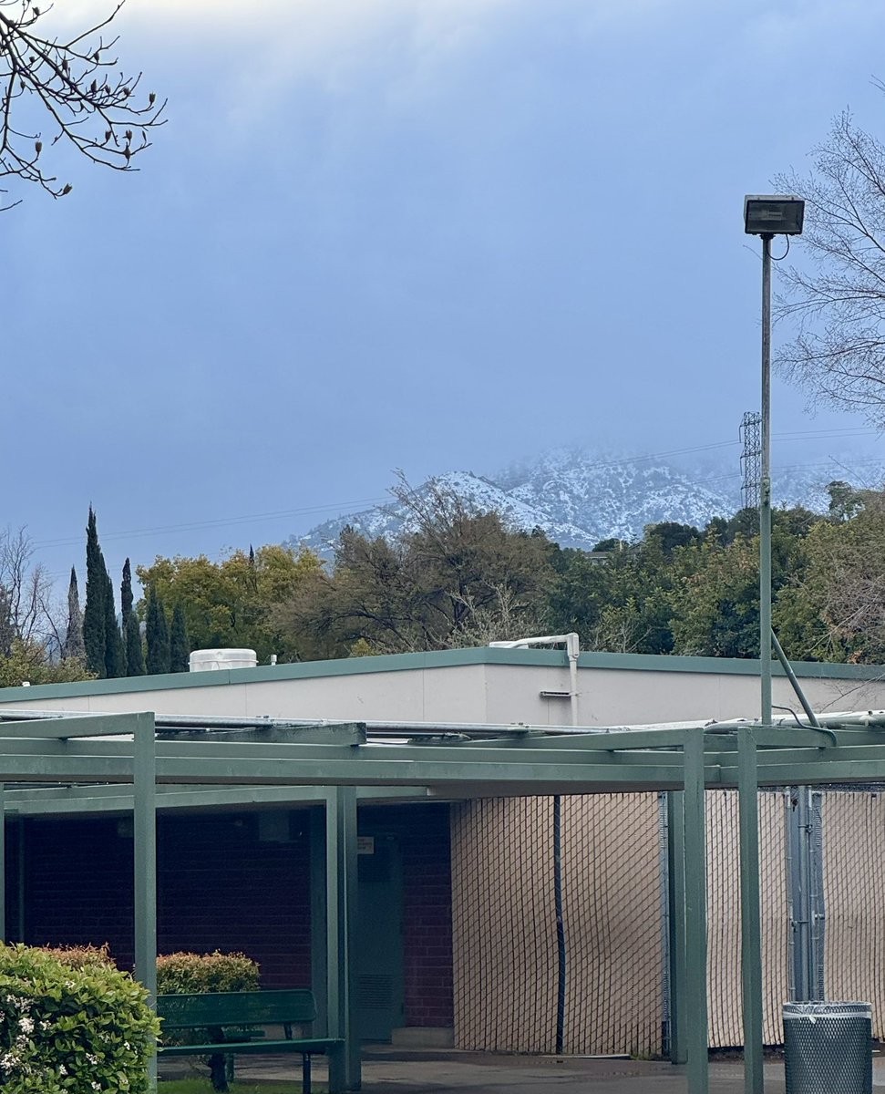 MustangsPHMS's tweet image. Good morning, @MtDiabloUSD! We spy ❄️! #PHMSMustangsPRIDE 💚🐎