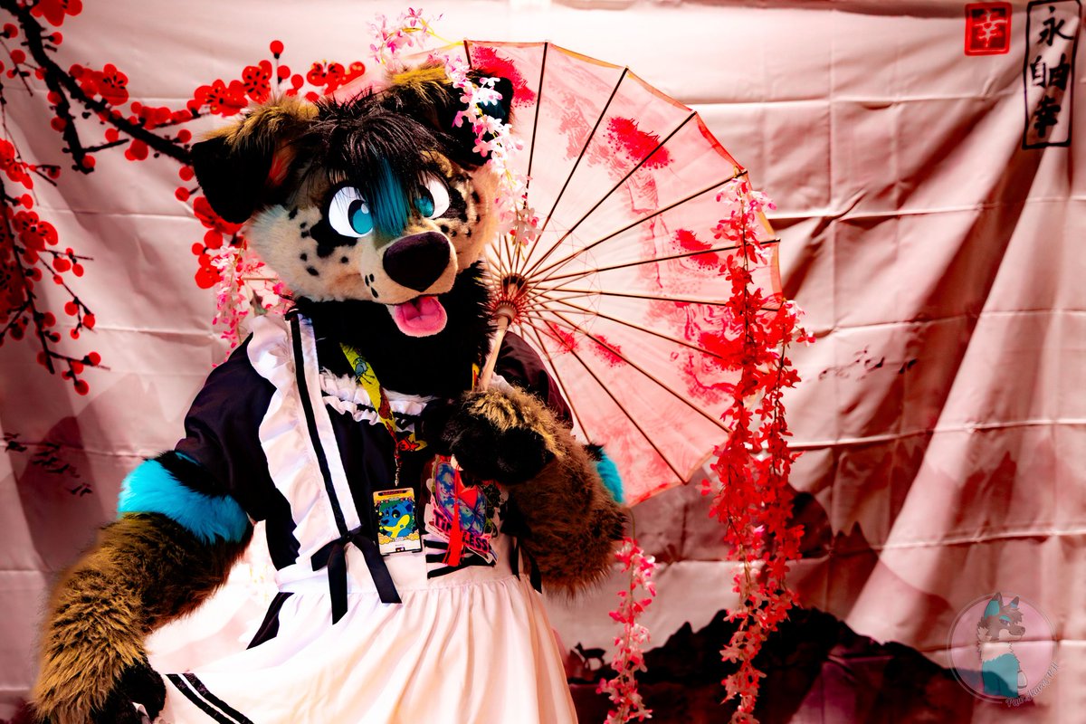 arctomology's tweet photo. I want to post some throw back to the #NFC2025
It was such a great Con and I had a ton of fun serving nice guests at the Maid Café, like @PawIkaros who took this beautiful picture of me <3 https://t.co/wAU3aklRk2