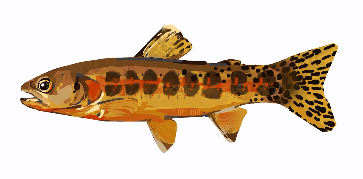 junbuug's tweet photo. more fishy commissions https://t.co/UIPgVKA1Y3