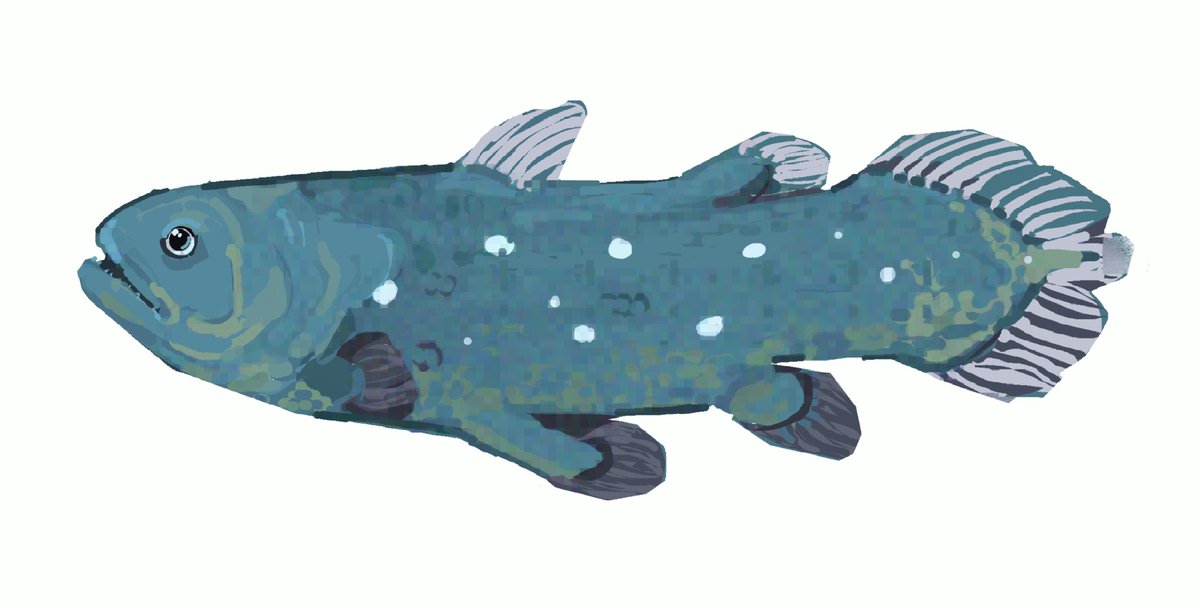 junbuug's tweet photo. more fishy commissions https://t.co/UIPgVKA1Y3