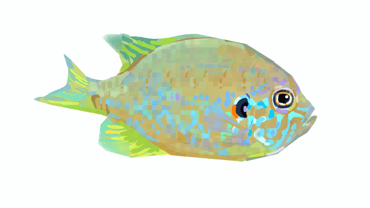 junbuug's tweet photo. more fishy commissions https://t.co/UIPgVKA1Y3