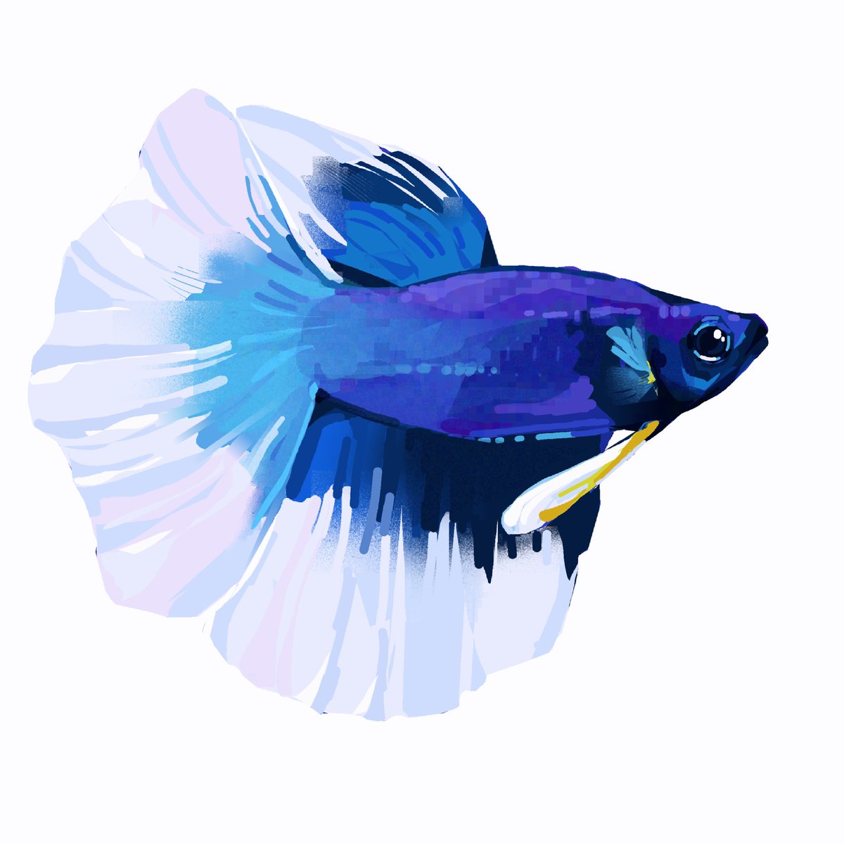 junbuug's tweet photo. more fishy commissions https://t.co/UIPgVKA1Y3