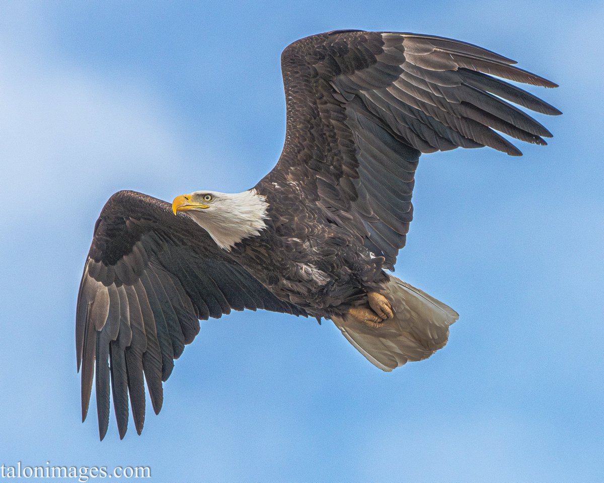 Dave Wille tweet media