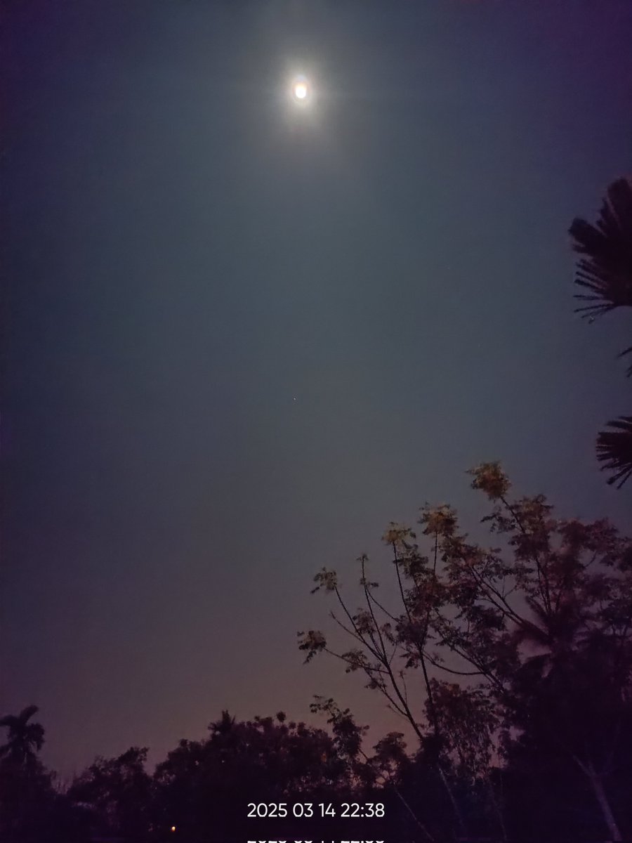 Full moon in my garden.  Im wait..