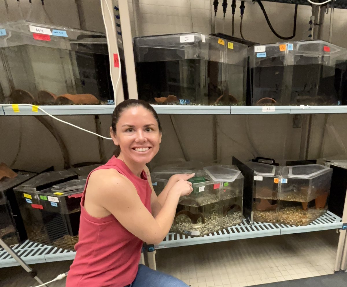 Meet  Emily Lessig! She is one of our 2024 Stengl-Wyer Fellows. Her research integrates animal behavior and neuroscience to understand how animals make decisions in dynamic social environments. biodiversity.utexas.edu/news/features/… #animalbehavior
#biology #graduateschool
