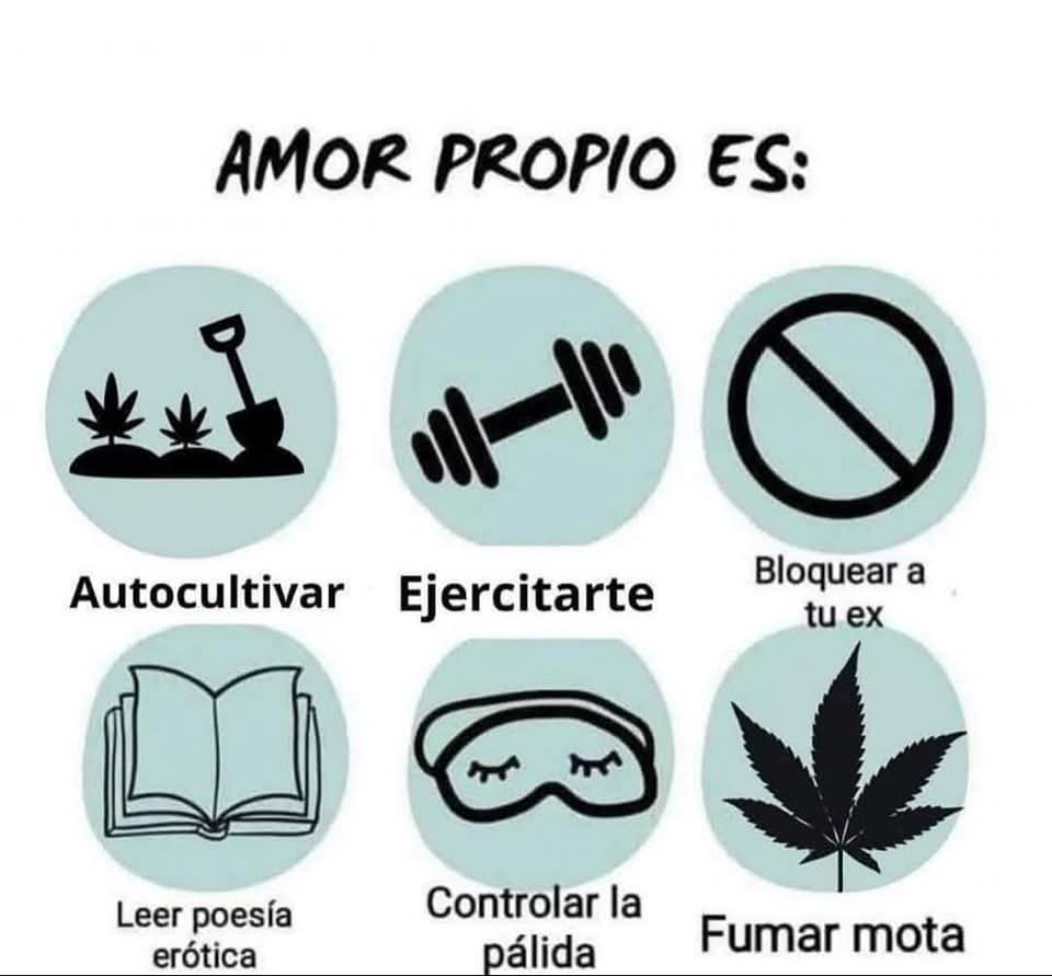 Diego (@diegos42069) on Twitter photo 