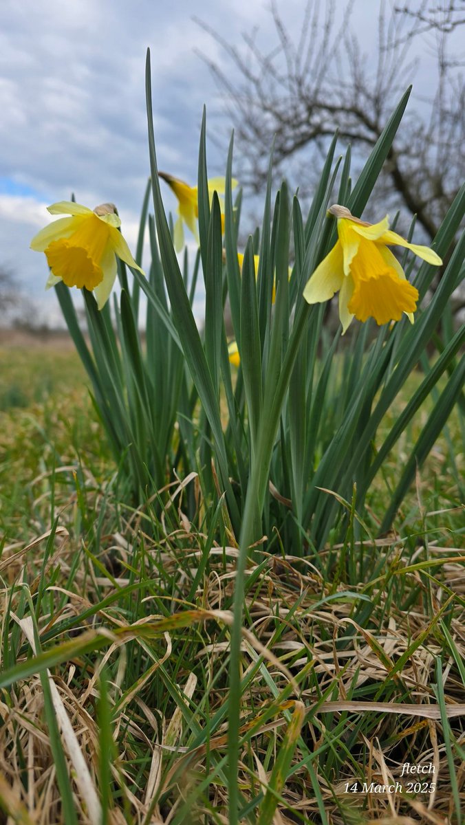 pepfletch's tweet photo. Spring is here https://t.co/9eKl9p6j6G