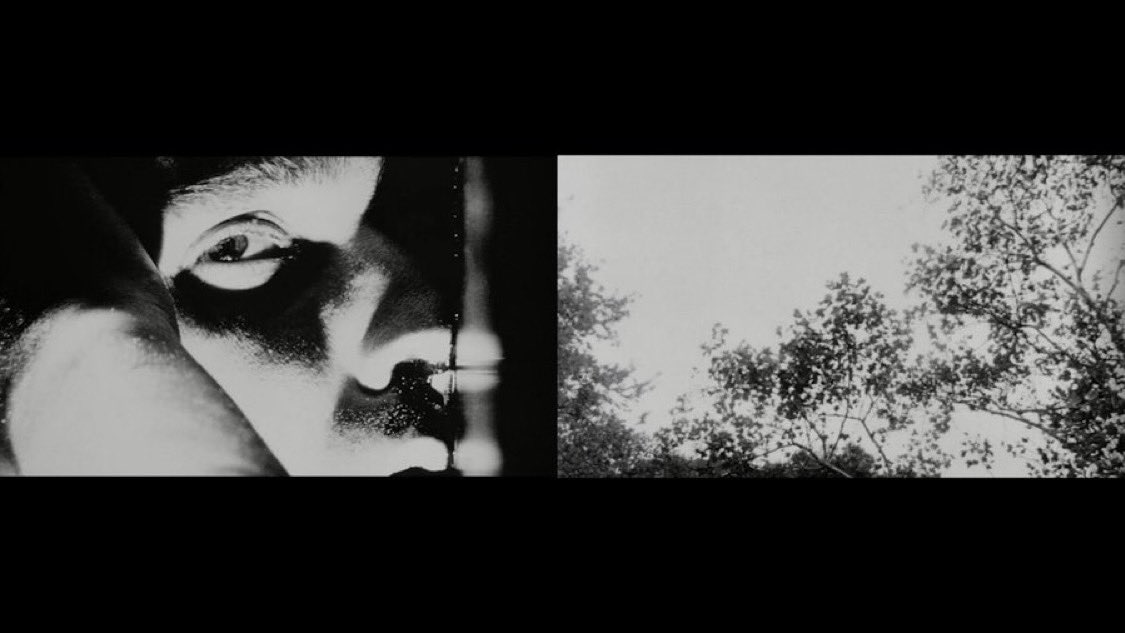 FirstFinalFrame's tweet image. PI (1998)

Dir. @DarrenAronofsky
DP: Matthew Libatique

#FirstAndFinalFrames