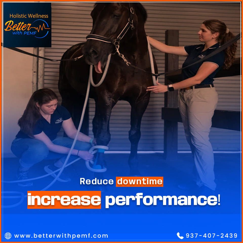 BetterWithPEMF's tweet photo. Prevent injuries before they happen with regular PEMF therapy. If your horse is recovering, PEMF helps speed up healing and reduce stiffness.
.

#EquineRecovery #PEMFforHorses #StrongerHorses #PainRelief #BetterWithPEMF https://t.co/jWuxCDOvSH