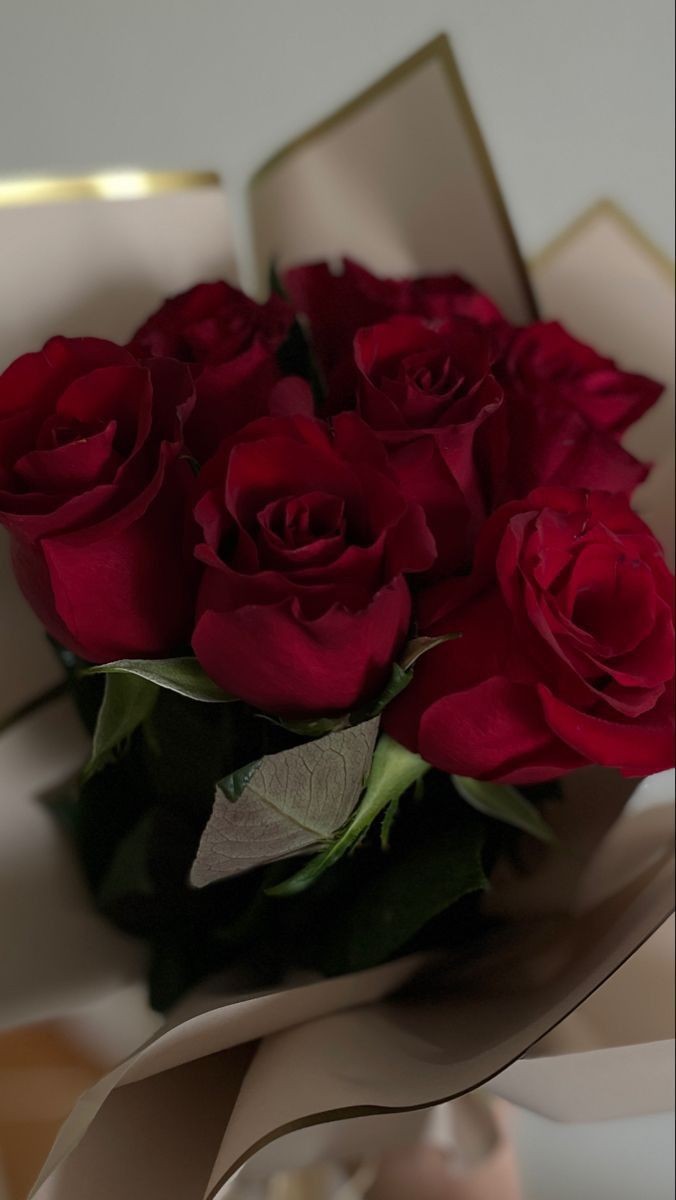 D_MAL1's tweet photo. @الجميع 
"سَأغيبُ عن دُنيا الكلامِ مُودِّعًا،
وفي القلبِ شوقٌ لا يُقالُ ويُكتَبُ"

قررت الابتعاد عن تويتر لعام، وربما لعامين، حيث تحتم عليّ الحياة أن أركز على دراستي وأستثمر وقتي فيما ينفعني. ليس من السهل أن أترك هذه المساحة التي جمعتني بأرواح طيبة وقلوب صادقة، لكن لكل رحلة محطة، ولكل حكاية فصول.

شكرًا لكل من كان يومًا جزءًا من أيامي هنا، لكل من أهداني كلمة طيبة، أو فكرة ملهمة، أو حتى لحظة ود صادقة. وإن بدر مني ما أساء لأحد دون قصد، فإني أطلب السماح، فأنا كذلك أسامح من أخطأ بحقي.

"وَما الحُبُّ إلّا طَيْفُ ذِكْرى تُرَدُّدُهُ،
رِياحُ اللّيالي في القُلوبِ الحَزينَةِ"

قد تطول الغيبة، لكنها ليست وداعًا، بل لقاء مؤجل بإذن الله.. كونوا بخير، وإلى لقاء أجمل!