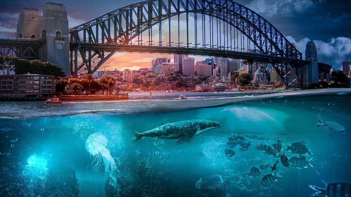 ChristIkapi's tweet image. Si vous recherchez un miniamaker je suis disponible 

If you're looking for a miniamaker, I'm available!