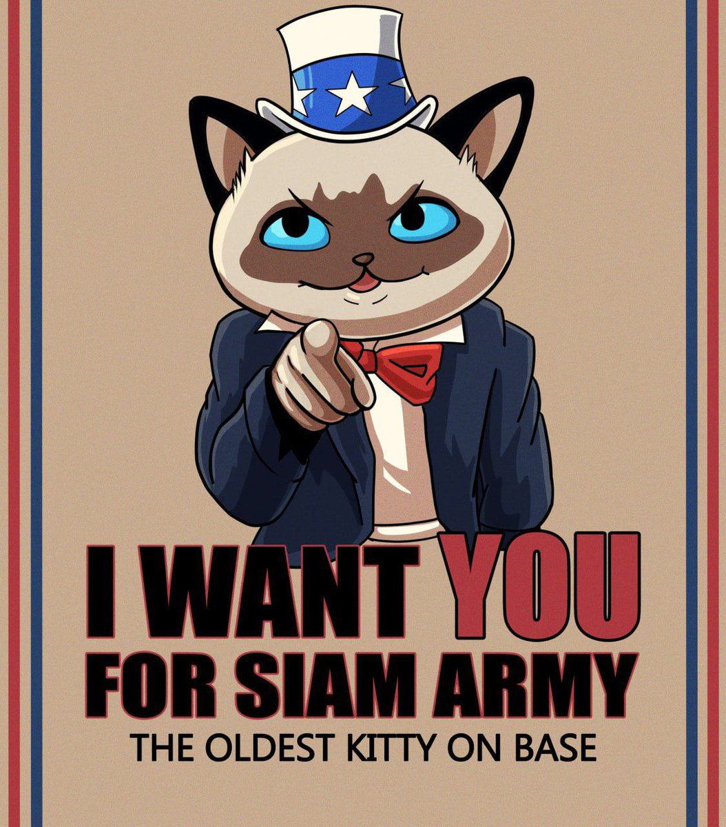 siambasedegens's tweet photo. @DopeOxide @base $Siam oldest cat on @Base https://t.co/fB8JcgYjS4