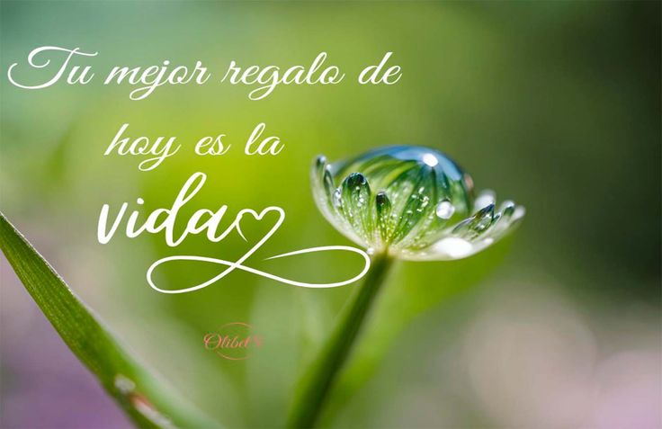 postresrecetas's tweet photo. Así es... https://t.co/A8XyhO8tea