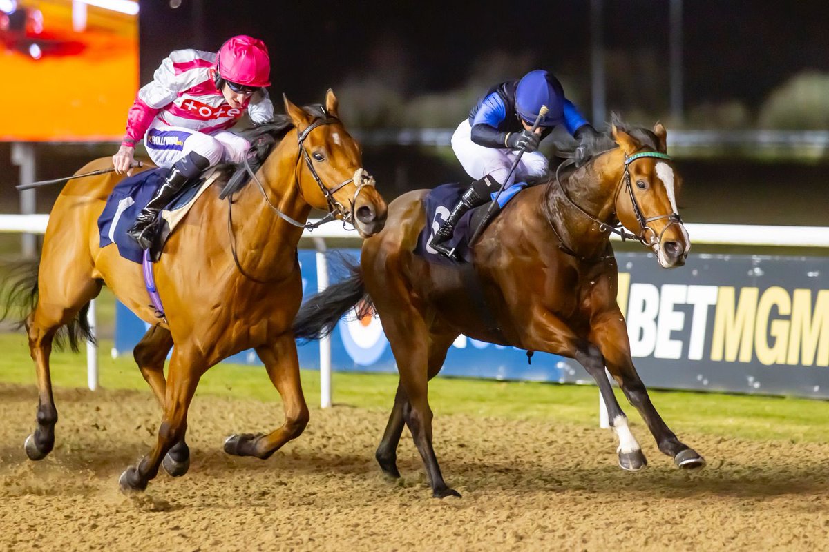 OllieSangster's tweet photo. Tuco Salamanca makes it 2 out of 2 this year, as he proves too good for his rivals at Wolverhampton under Nicola Currie. Congratulations to his owners, Pompey Ventures! 🏆

#OllieSangsterRacing https://t.co/EwHqA1nlzO