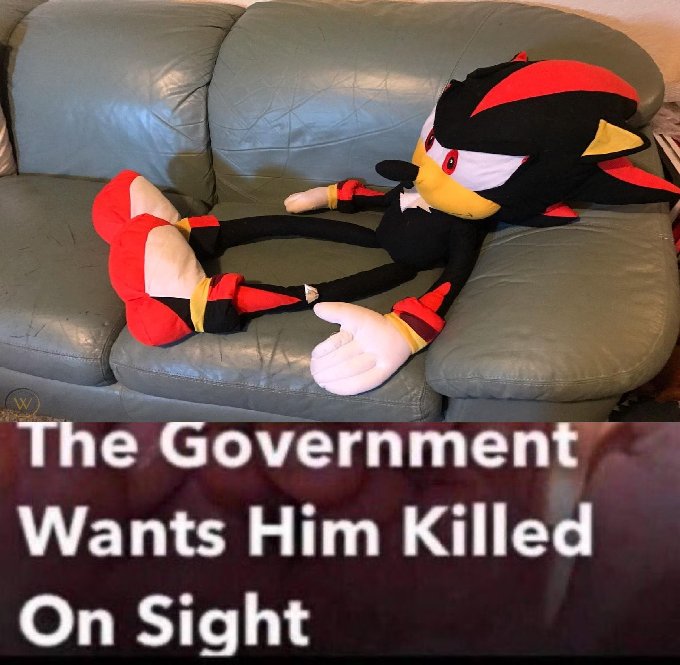 #1 Shadow The Hedgehog Fan (@realshadowfan01) on Twitter photo 
