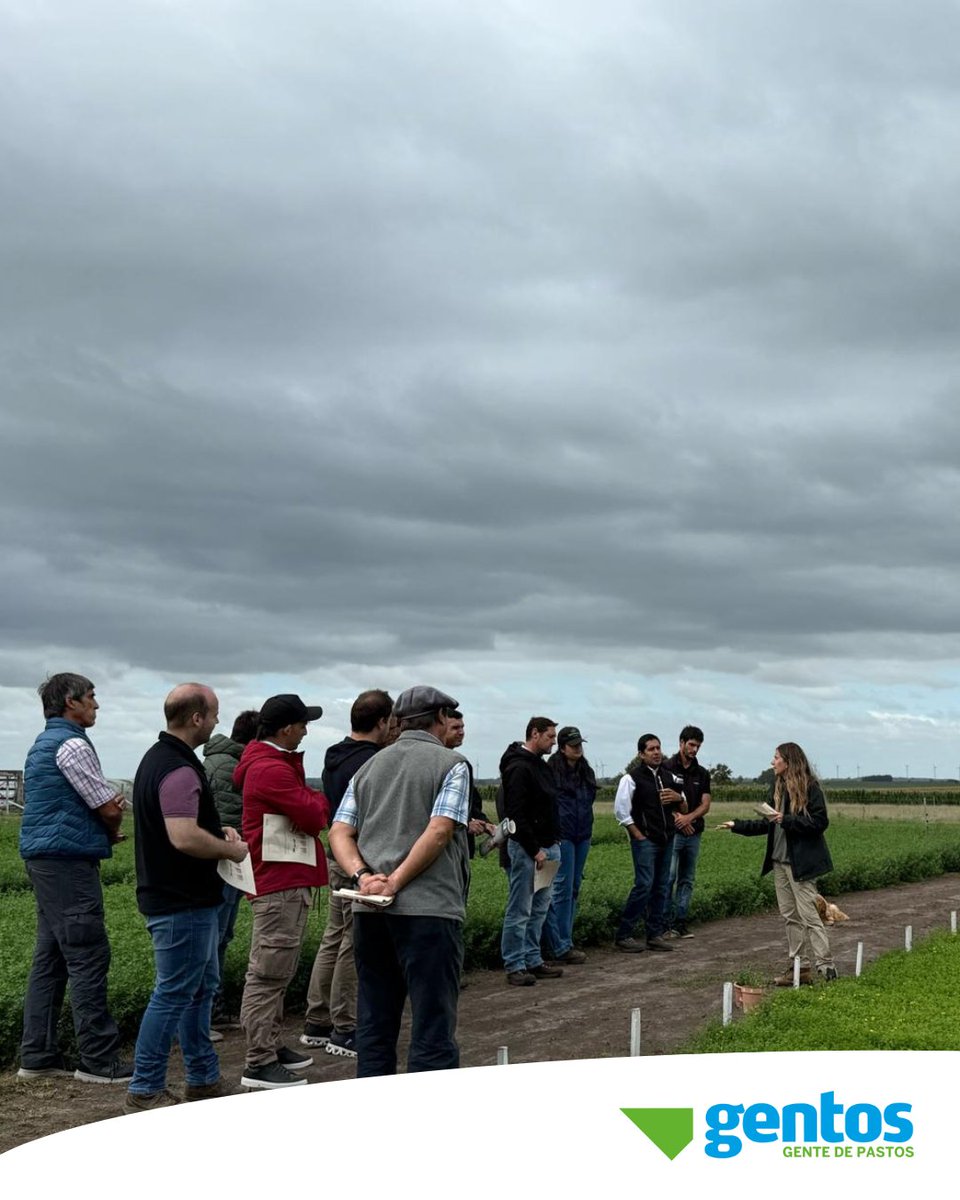 Compartimos algunas imágenes de la vista del grupo CREA Montoya de Entre Ríos, Argentina 🇦🇷. Excelente intercambio de idea y desafíos de dos regiones bastante similares. Mucho para aprender de estas sinergias. Gracias <a href="/ApeoAgro/">APEO</a> y Del Carmen ACISA por recibirnos 🙏🏼