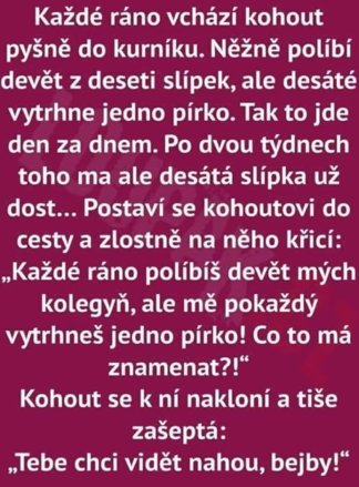 MatkaPredstave's tweet photo. odp: https://t.co/Ty9gvalAqz