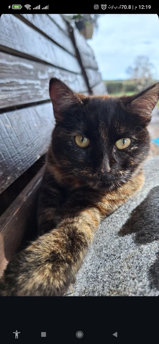 HajinNabil's tweet image. Urgent appeal to charitable people to save my family. Donate to buy food. We need you to feed our children. To donate to my family, contact me privately or visit the link in my bio.
Please share.
gofund.me/05443d92
#ElonMusk 
#DonaldTrump