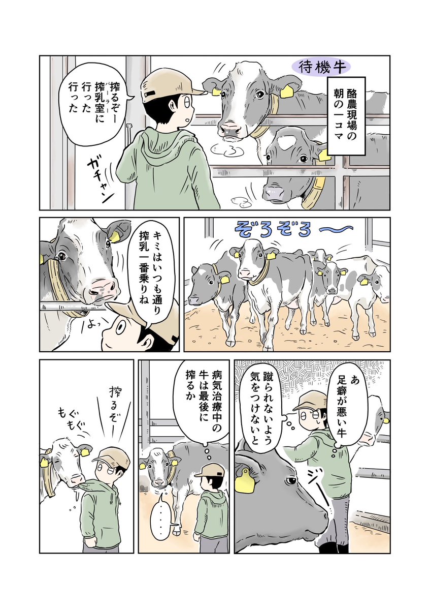『酪農と牛乳』(2/3)
#PR  #週刊土日ミルク 