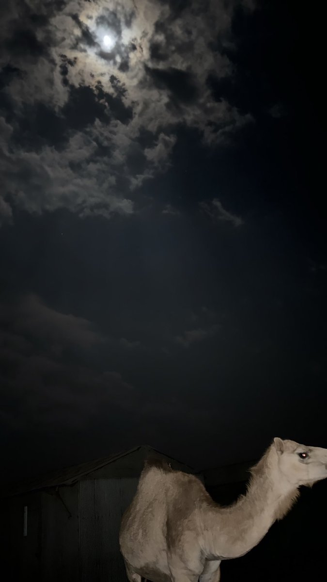 - تداهمك الأفكار جيوشا و أنتَ فرد.