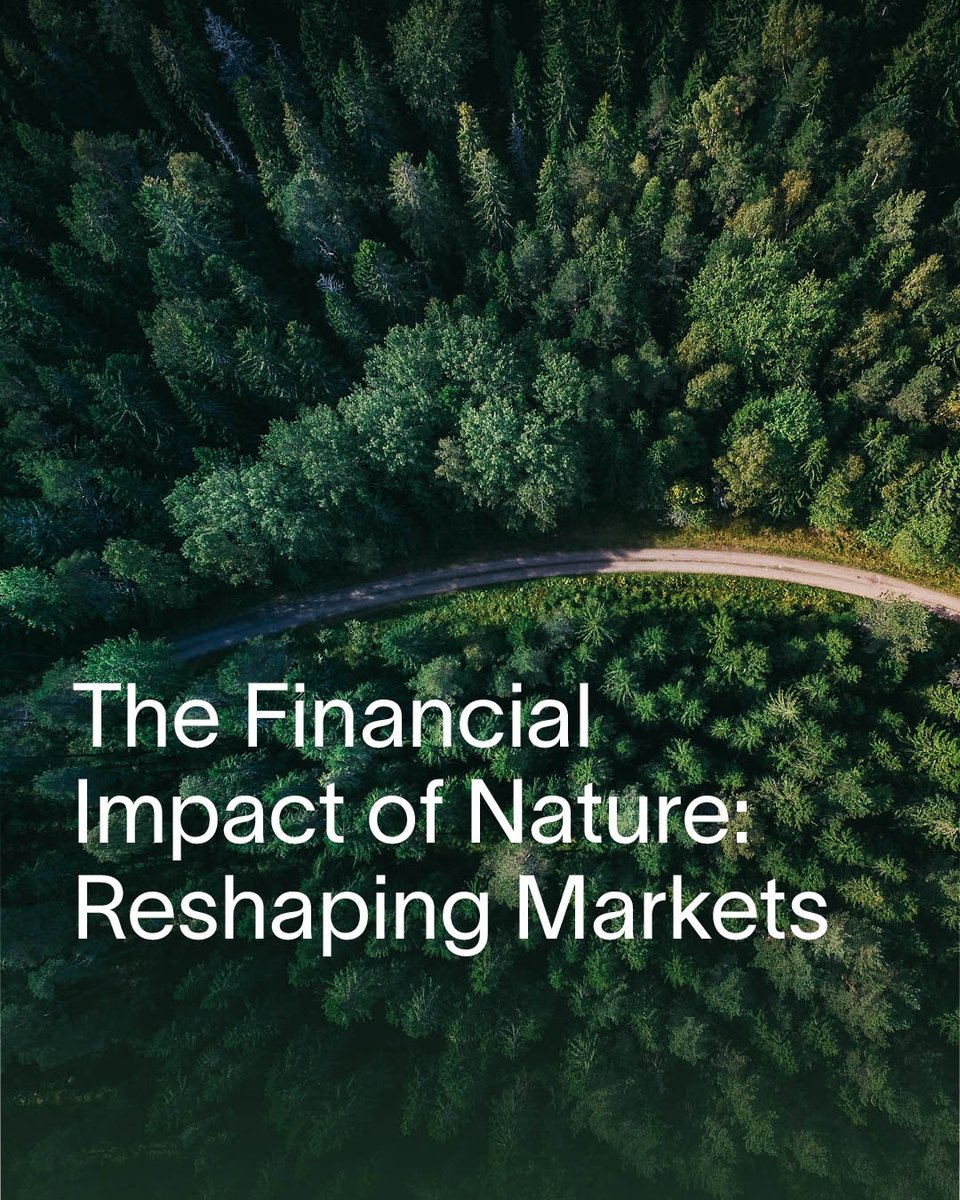 impactdotone's tweet photo. Nature-related financial risks are now central to global investment strategies. Financial institutions recognize that environmental stability is key to economic resilience, with Norway’s $1.6 trillion Sovereign Wealth Fund (GPFG) being a clear example of this shift. https://t.co/6o1qp2Lh5W