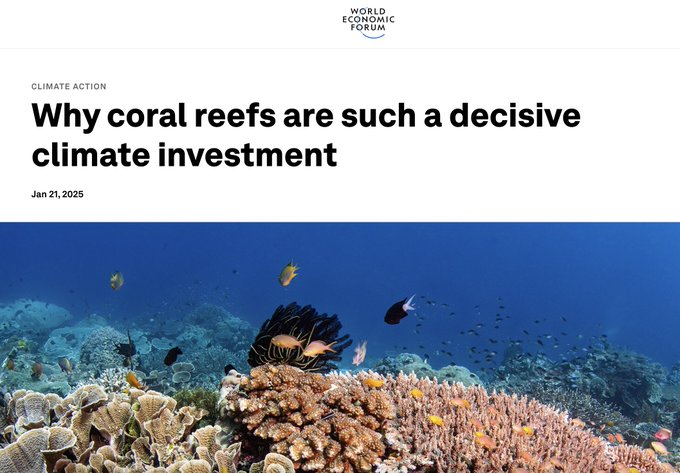 UN Biodiversity (@unbiodiversity) on Twitter photo 🌊 #CoralReefs: Vital for climate resilience & the global economy.
New @WEF article by Pradeep Kurukulasuriya (<a href="/UNCDF/">UNCDF</a>) & Karen Sack (<a href="/ORRAAnews/">Ocean Risk and Resilience Action Alliance</a>) on why action #ForCoral matters:
via <a href="/GlobalFundCoral/">Global Fund for Coral Reefs</a> 🌊 #CoralReefs: Vital for climate resilience & the global economy.
New @WEF article by Pradeep Kurukulasuriya (<a href="/UNCDF/">UNCDF</a>) & Karen Sack (<a href="/ORRAAnews/">Ocean Risk and Resilience Action Alliance</a>) on why action #ForCoral matters:
via <a href="/GlobalFundCoral/">Global Fund for Coral Reefs</a>