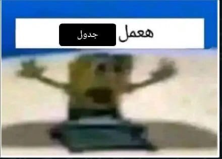 Merna Nader (@mernaelmalky) on Twitter photo 