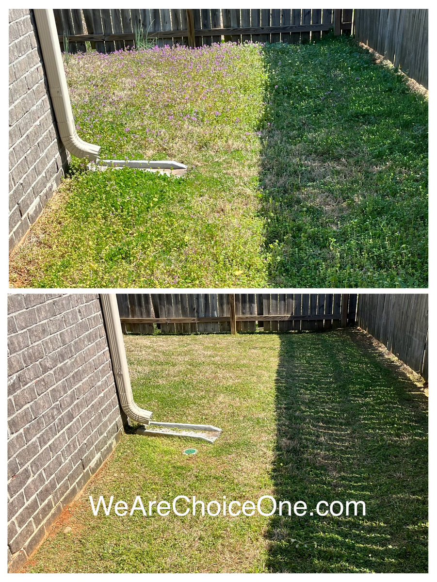 WeAreChoiceOne's tweet photo. It’s that time of year again! If you’re needing lawn care service in the Madison or Huntsville area get your free estimate today! 
https://t.co/pIta4IkZuC | 256-384-4142

#LawnCare #LawnScalping #Lawn #Mowing #Huntsville #Madison #Alabama #HSV #ChoiceOneLawnCare #WeAreChoiceOne https://t.co/xJcN7FGsZ5