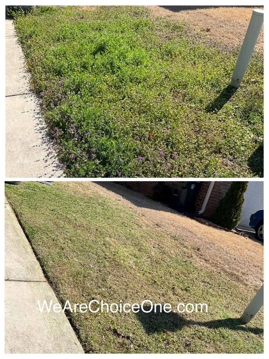 WeAreChoiceOne's tweet photo. It’s that time of year again! If you’re needing lawn care service in the Madison or Huntsville area get your free estimate today! 
https://t.co/pIta4IkZuC | 256-384-4142

#LawnCare #LawnScalping #Lawn #Mowing #Huntsville #Madison #Alabama #HSV #ChoiceOneLawnCare #WeAreChoiceOne https://t.co/xJcN7FGsZ5