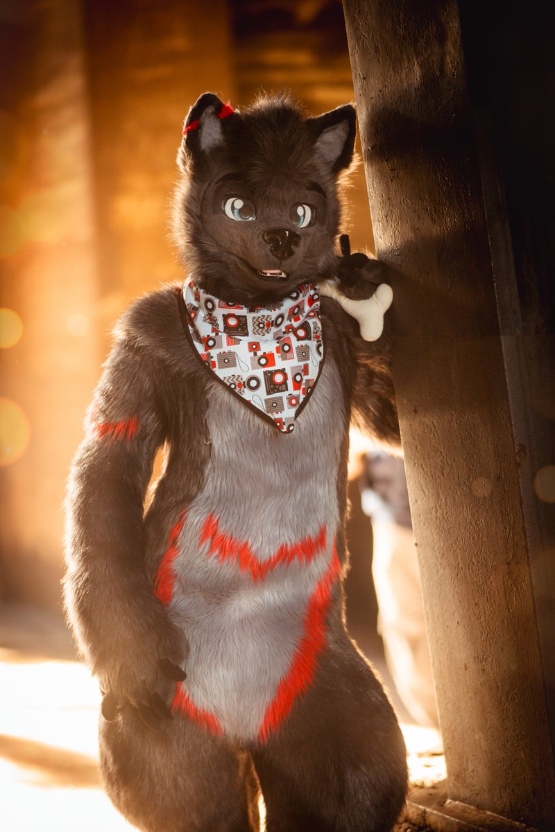 Happy fursuitfriday 😊

📷: <a href="/xferoxy/">Ferox ✨ 🔜 EAST</a>
🐺: me