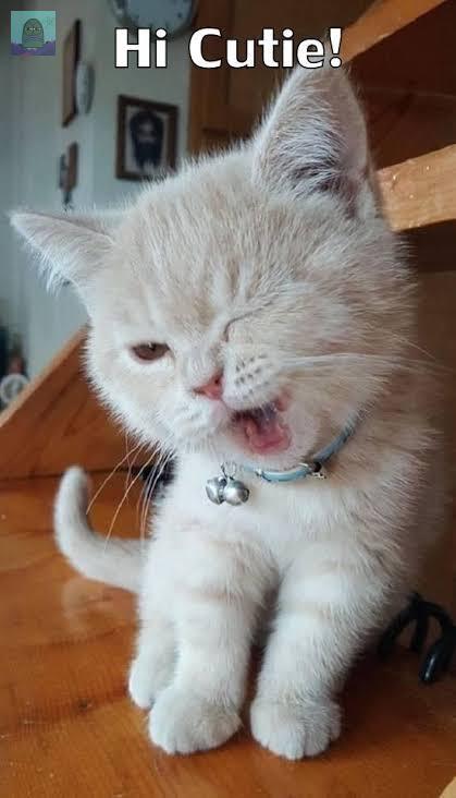 Tanyarl 💚 tweet media