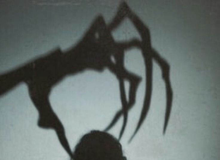 secretsofsimly's tweet photo. Ich bin dein Schatten

- sonja, Purifiers https://t.co/TGXBpDMBt5