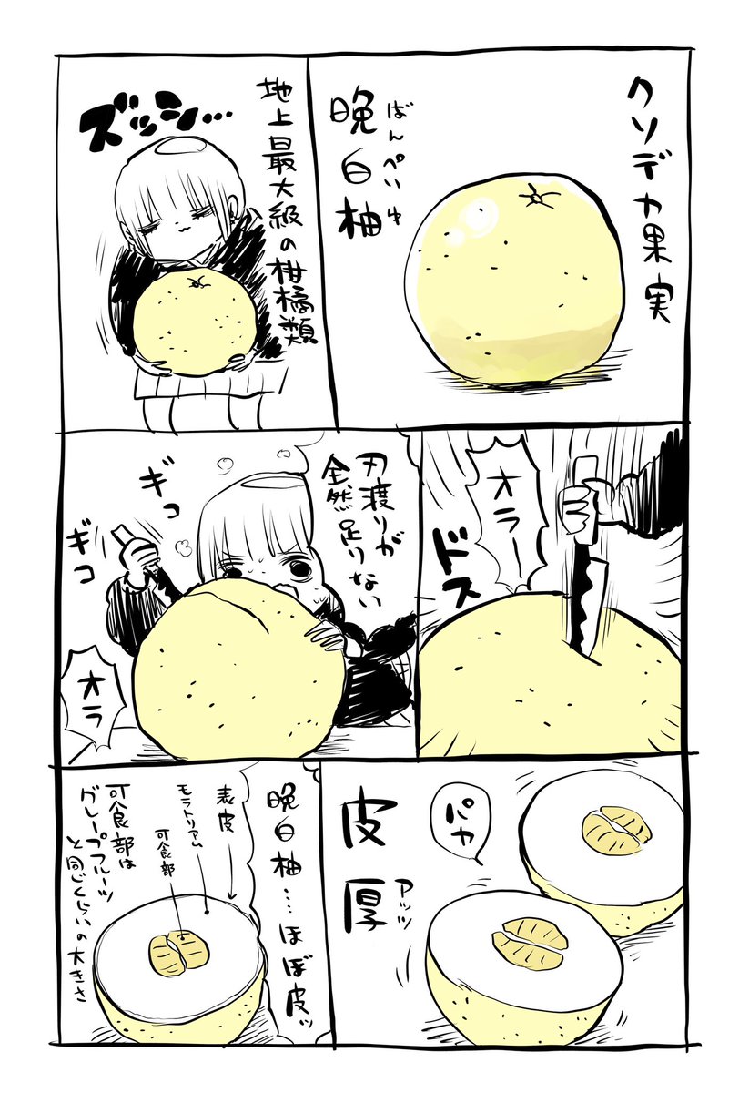 kakeakami's tweet photo. 晩白柚買った https://t.co/NnO0wTODbP