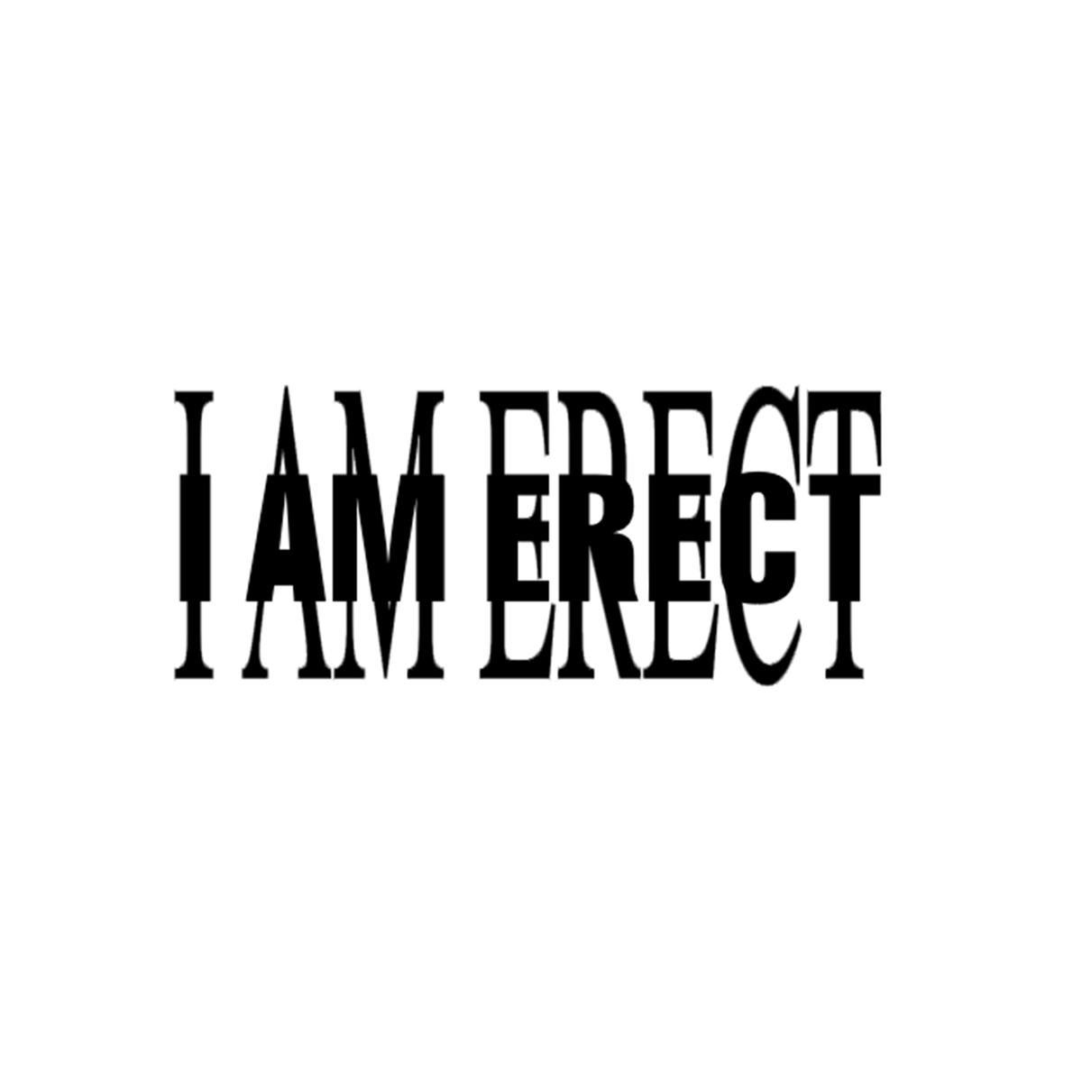 #IAMERECT