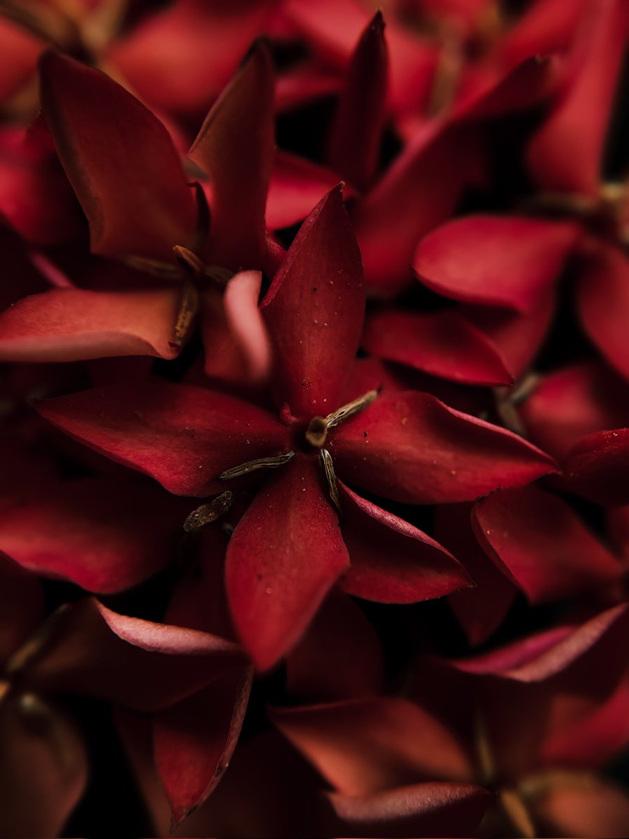 Rajesh R Kurup tweet media