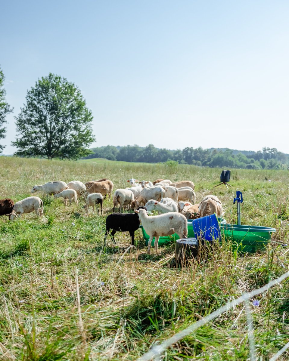 Happy National Ag Day! 🌾 Today, we celebrate the incredible work of RC&amp;Ds in agriculture and conservation. Their dedication makes a lasting impact across the U.S., helping to grow a more sustainable future. Here’s to honoring them and everyone making a difference in agriculture!