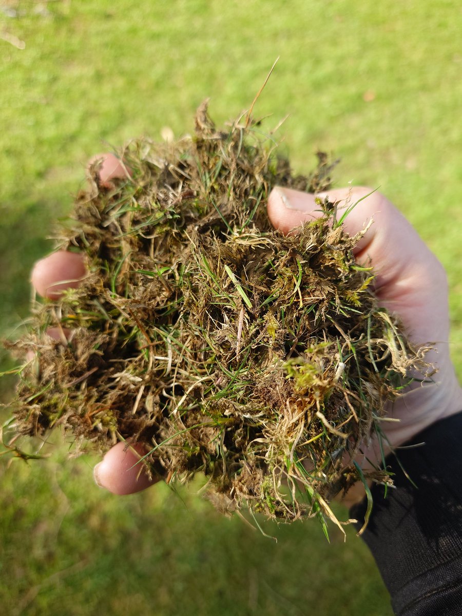 Greens Staff tweet media