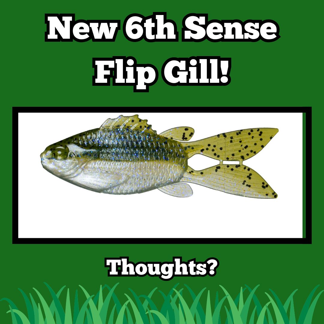 #fishinglife #bassfishing