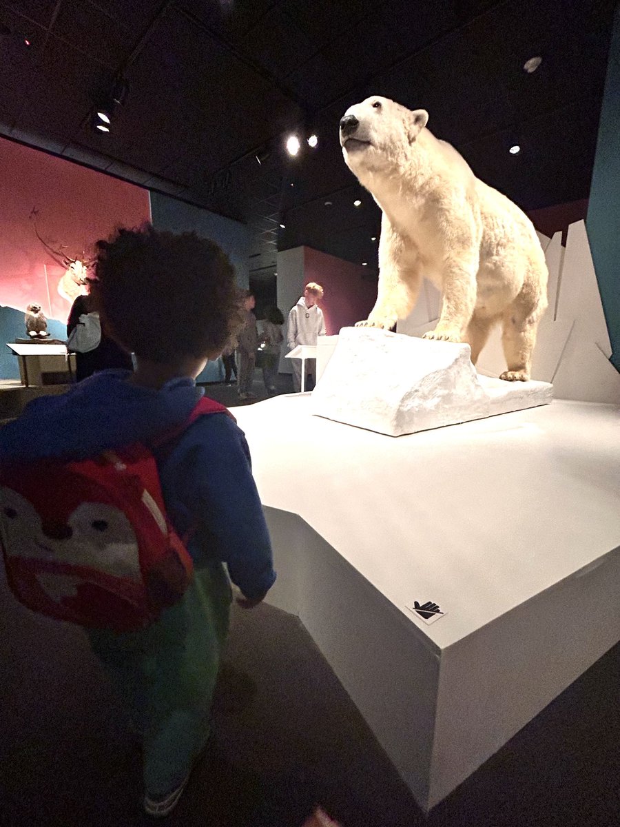 balbert3's tweet image. Every time I ask my son if he has his backpack, he corrects me and tells me it’s a bookbag 👀 🤔